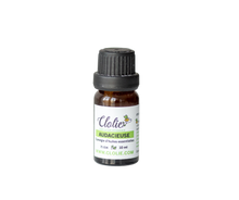 Diffuseur & synergies d'huiles essentielles
