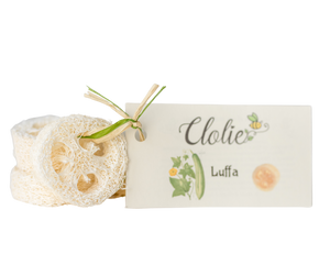 Luffa