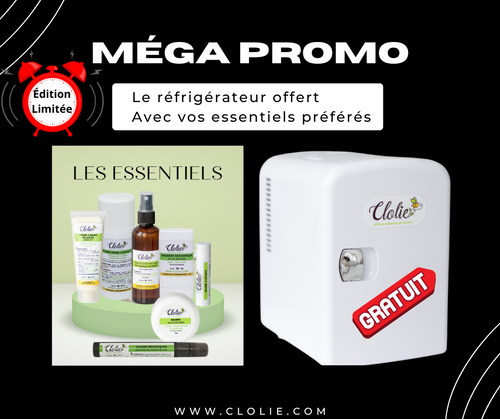 Méga promo Réfrigérateur GRATUIT
