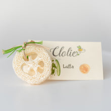 Luffa
