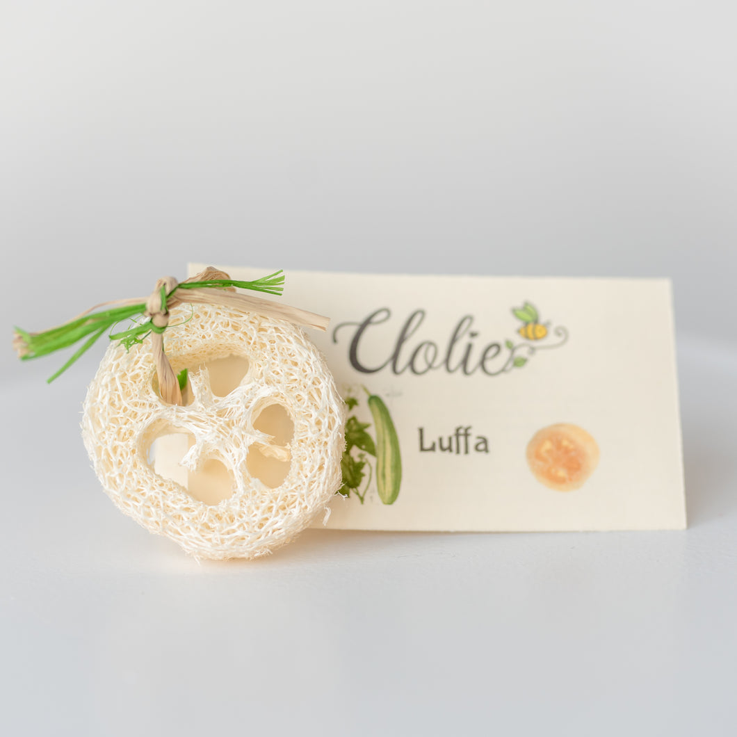 Luffa