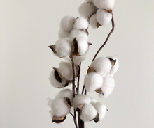 Huiles (sèche Monoï ou Fruitée, coton (bébé), amande douce (femme enceinte))